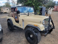 1975 Jeep CJ5 for sale in Michigan (ID-130204)