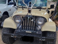 1975 Jeep CJ5 for sale in Michigan (ID-130204)
