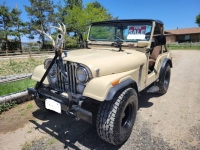 1975 Jeep CJ5 for sale in Michigan (ID-130204)