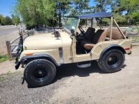 1975 Jeep CJ5 for sale in Michigan (ID-130204)