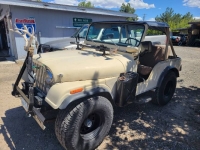 1975 Jeep CJ5 for sale in Michigan (ID-130204)