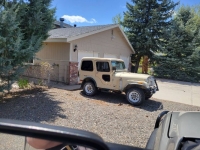 1975 Jeep CJ5 for sale in Michigan (ID-130204)