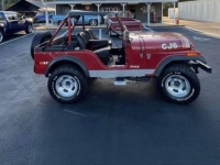 1975 Jeep CJ5 for sale in Michigan (ID-130475)