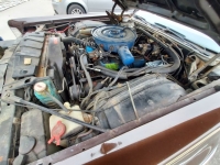 1975 Lincoln Continental for sale in Michigan (ID-121258)