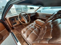 1975 Lincoln Continental for sale in Michigan (ID-121258)