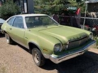 1975 Mercury Bobcat for sale in Michigan (ID-125799)