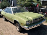1975 Mercury Bobcat for sale in Michigan (ID-125799)