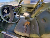 1975 Mercury Bobcat for sale in Michigan (ID-125799)