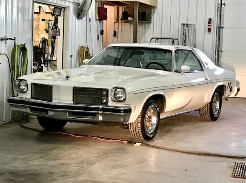 1975 Oldsmobile 442 for sale in Michigan (ID-96856)