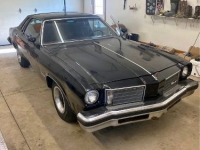 1975 Oldsmobile Cutlass for sale in Michigan (ID-124471)