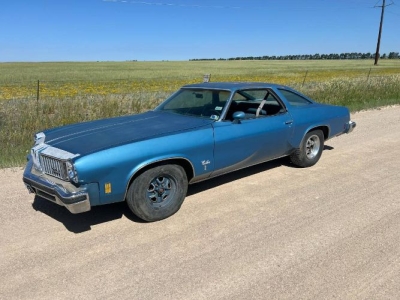 1975 Oldsmobile Cutlass for sale
