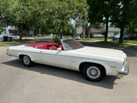 1975 Oldsmobile Delta 88 for sale in Michigan (ID-119113)