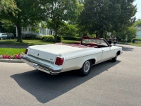 1975 Oldsmobile Delta 88 for sale in Michigan (ID-119113)