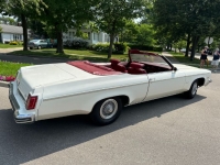 1975 Oldsmobile Delta 88 for sale in Michigan (ID-119113)