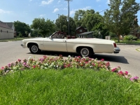 1975 Oldsmobile Delta 88 for sale in Michigan (ID-119113)