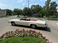 1975 Oldsmobile Delta 88 for sale in Michigan (ID-119113)
