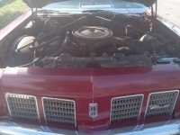 1975 Oldsmobile Delta 88 for sale in Michigan (ID-125480)