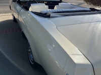 1975 Oldsmobile Delta 88 for sale in Michigan (ID-125775)