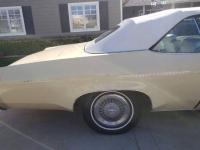 1975 Oldsmobile Delta 88 for sale in Michigan (ID-125775)