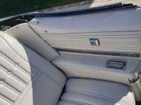 1975 Oldsmobile Delta 88 for sale in Michigan (ID-125775)