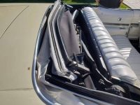 1975 Oldsmobile Delta 88 for sale in Michigan (ID-125775)