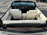 1975 Oldsmobile Delta 88 for sale in Michigan (ID-138967)