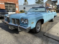 1975 Oldsmobile Delta 88 for sale in Michigan (ID-138967)