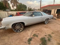 1975 Oldsmobile Delta 88 for sale in Michigan (ID-155260)