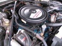 1975 Oldsmobile Hurst for sale in Michigan (ID-131422)