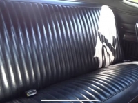1975 Plymouth Duster for sale in Michigan (ID-119649)
