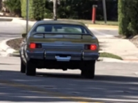 1975 Plymouth Duster for sale in Michigan (ID-119649)