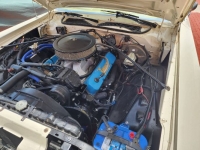 1975 Plymouth Road Runner for sale in Michigan (ID-120883)