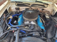1975 Plymouth Road Runner for sale in Michigan (ID-120883)