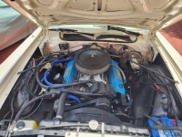 1975 Plymouth Road Runner for sale in Michigan (ID-120883)