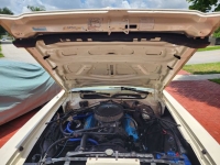 1975 Plymouth Road Runner for sale in Michigan (ID-120883)