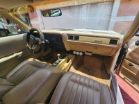 1975 Plymouth Road Runner for sale in Michigan (ID-120883)
