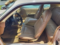 1975 Plymouth Road Runner for sale in Michigan (ID-120883)