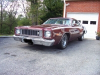 1975 Plymouth Road Runner for sale in Michigan (ID-162781)