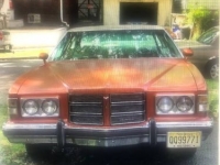 1975 Pontiac Catalina for sale in Michigan (ID-96444)
