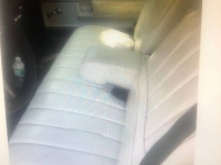 1975 Pontiac Catalina for sale in Michigan (ID-96444)