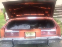 1975 Pontiac Catalina for sale in Michigan (ID-96444)