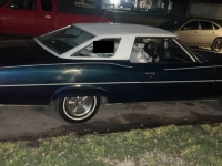 1975 Pontiac Catalina for sale in Michigan (ID-140815)