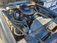 1975 Pontiac Firebird for sale in Michigan (ID-125924)