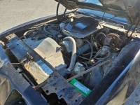 1975 Pontiac Firebird for sale in Michigan (ID-125924)