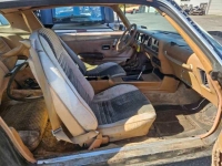 1975 Pontiac Firebird for sale in Michigan (ID-125924)