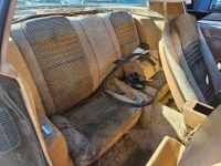 1975 Pontiac Firebird for sale in Michigan (ID-125924)