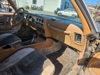 1975 Pontiac Firebird for sale in Michigan (ID-125924)