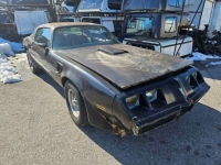 1975 Pontiac Firebird for sale in Michigan (ID-125924)