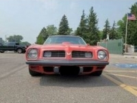 1975 Pontiac Firebird for sale in Michigan (ID-126114)