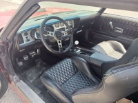 1975 Pontiac Firebird for sale in Michigan (ID-126114)
